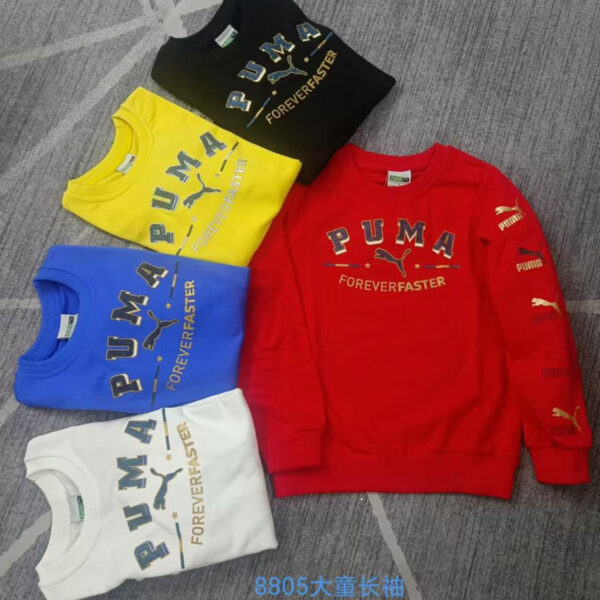 Boys sweatshirt 5-12yrs)